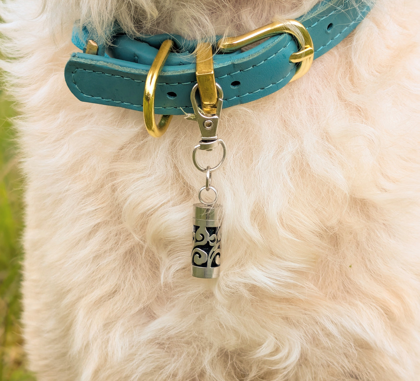 Tick Shield collar charm